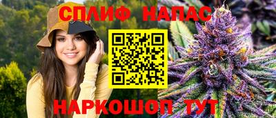 ALPHA PVP Пугачёв