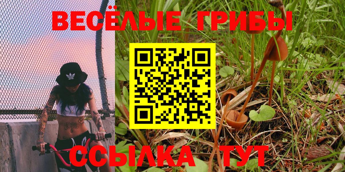 Псилоцибиновые грибы мухоморы Шелехов